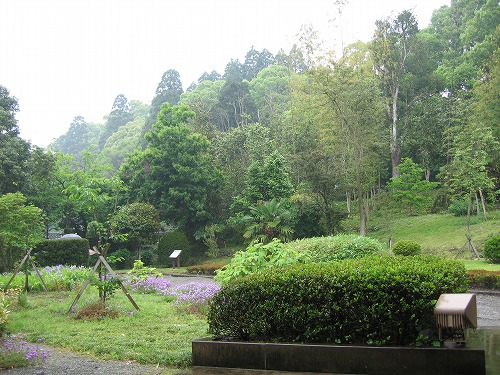 豫章館庭園6