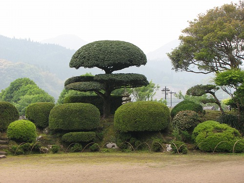 豫章館庭園7