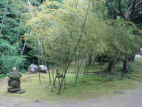 豫章館庭園13