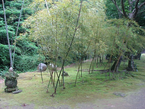 豫章館庭園14