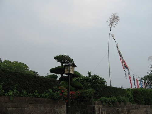 飫肥14