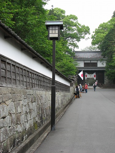 飫肥12