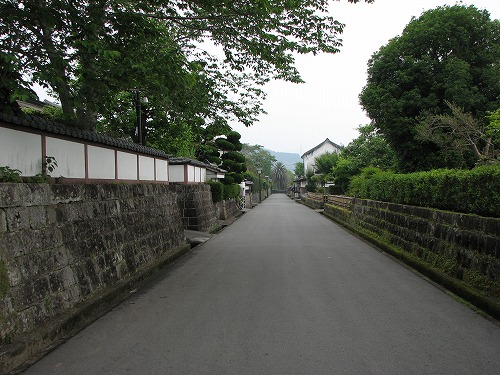 飫肥9
