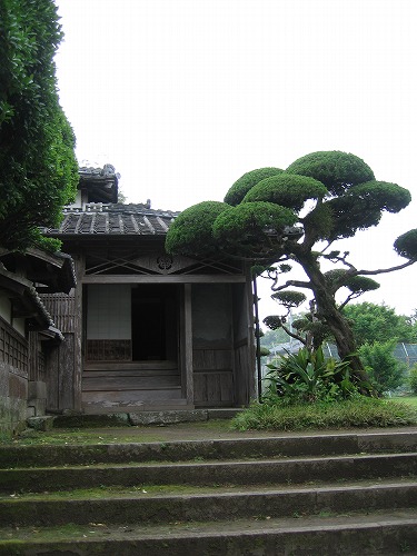 伊東家21