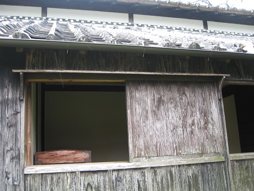 伊東家10