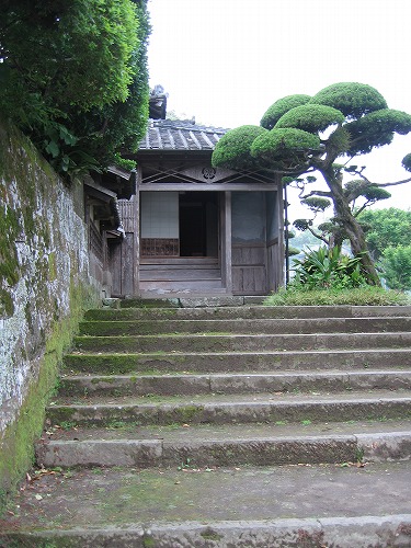 伊東家14