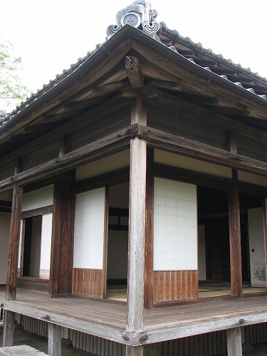 伊東家22