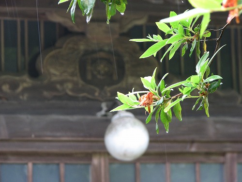 小村寿太郎6
