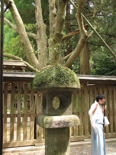 天岩戸神社7