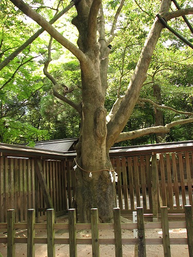 天岩戸神社8