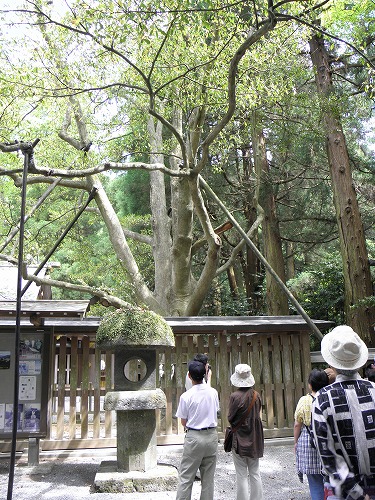 天岩戸神社9