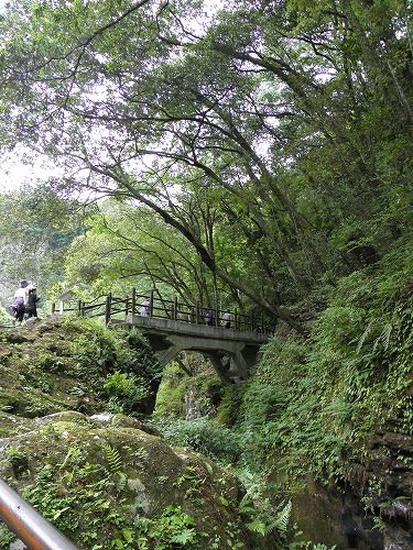 高千穂峡23