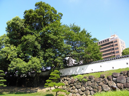 府内城址11