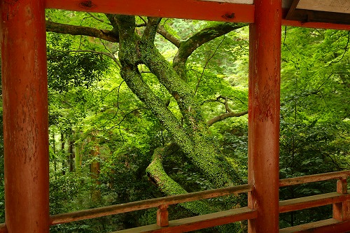 柞原神社24