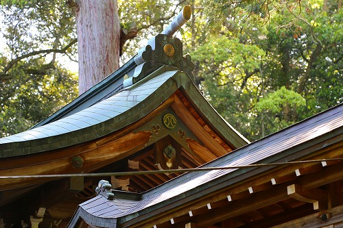 西寒多神社22