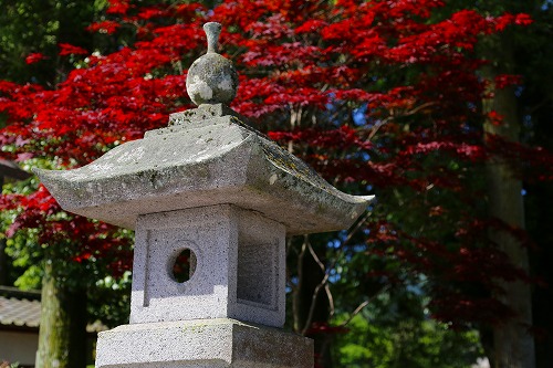 西寒多神社24