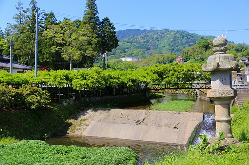 藤の西寒田神社12