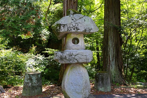 藤の西寒田神社9