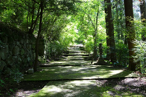 藤の西寒田神社10
