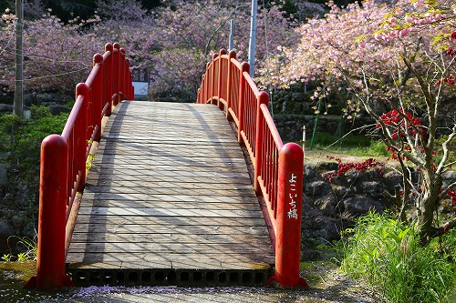 一心寺5