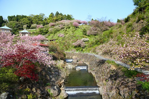 一心寺13