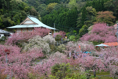 一心寺1
