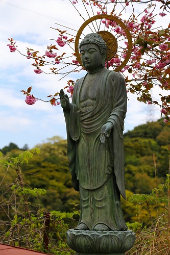 一心寺23