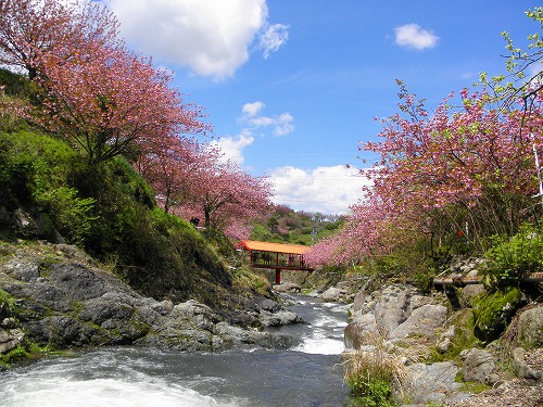 一心寺14
