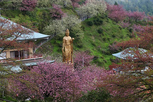 一心寺3