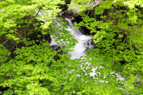 一心寺16