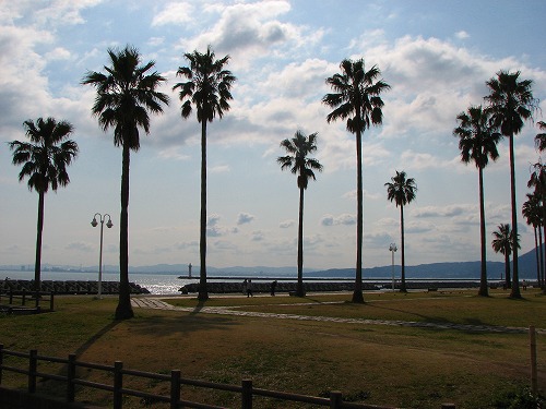 別府海浜砂湯16