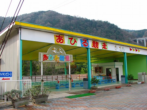 あひるの競争1