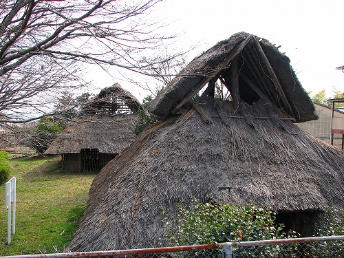 実相寺古代遺跡公園4