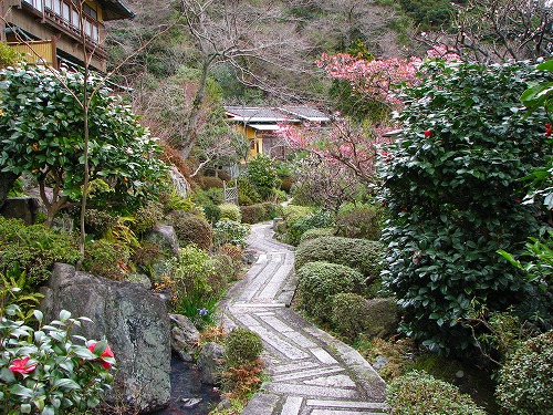 神和苑の庭6