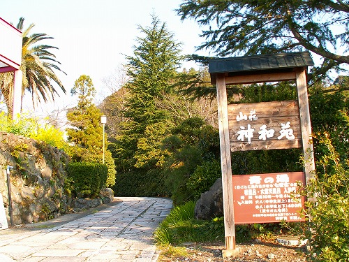 神和苑の庭22