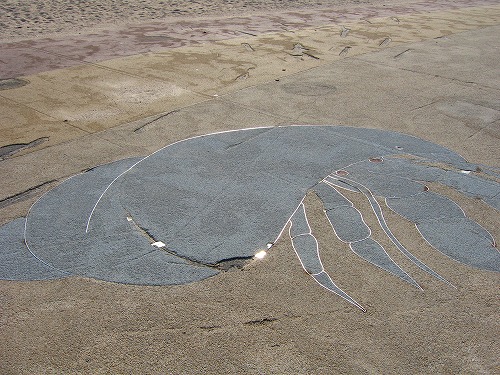 的ヶ浜公園14