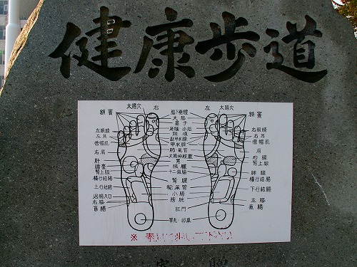 的ヶ浜公園17