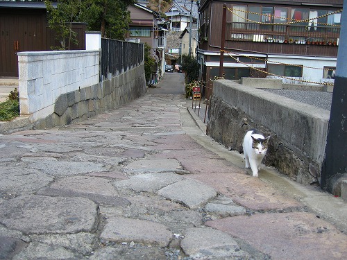 熱の湯通り1