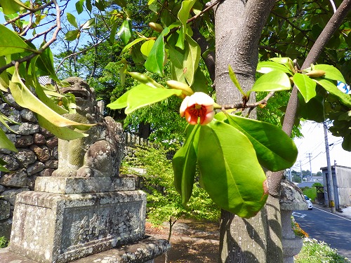 日出若宮八幡社17
