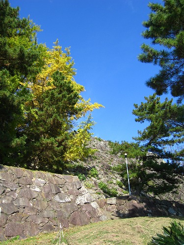 暘谷城址18