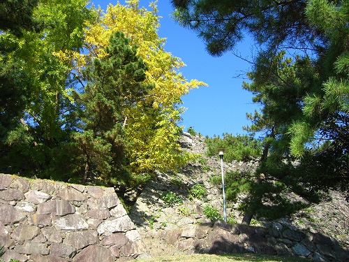 暘谷城址3