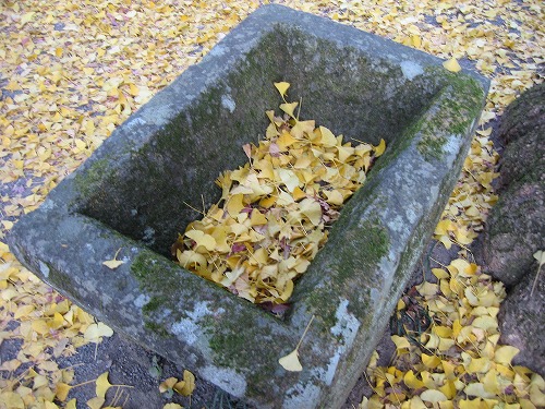 富貴寺石塔11