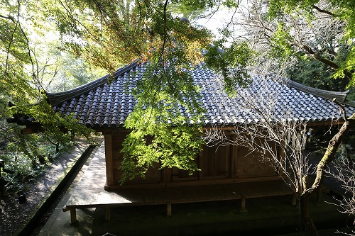 国宝富貴寺大堂6