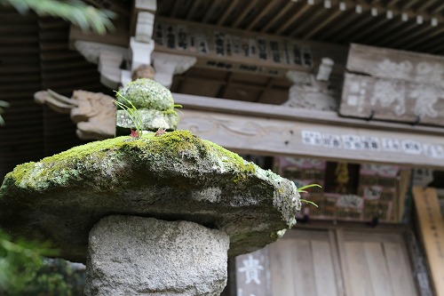 富貴寺本堂5