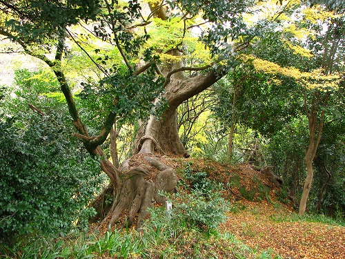 文殊仙寺山門7