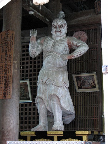 真木大堂6