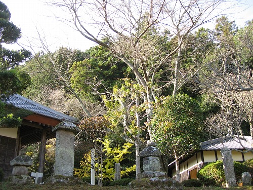 真木大堂7