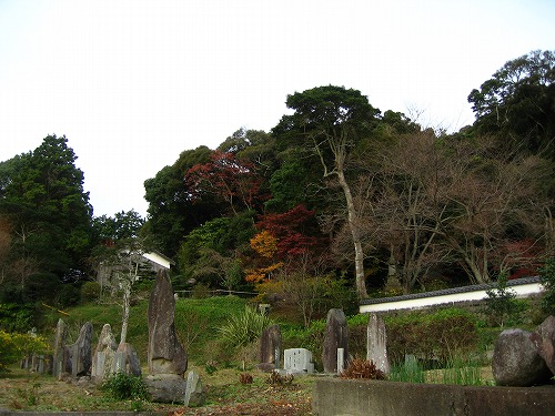 安国寺18