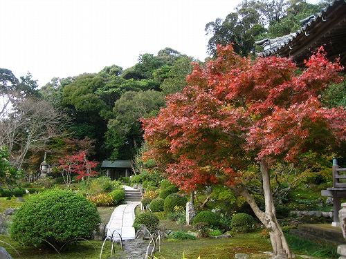 安国寺9