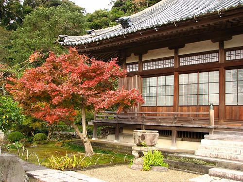 安国寺8